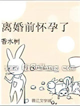 离婚前怀孕了小说