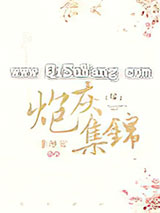 炮灰集锦[综]小说