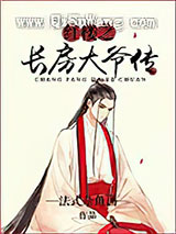 红楼之长房大爷传小说