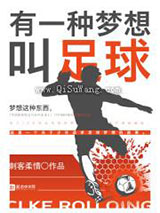 有一种梦想叫足球小说