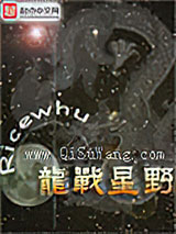 龙战星野小说