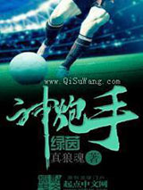 绿茵神炮手小说