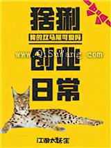 猞猁创业日常小说