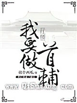 [红楼]我要做首辅小说