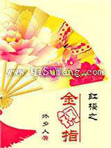 红楼之金钢指小说