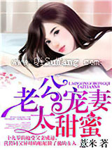 老公宠妻太甜蜜小说