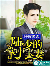 99度爱恋：陆少的掌中宝妻小说