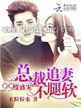 99度盛宠：总裁追妻不腿软小说