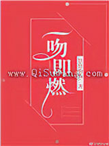 一吻即燃小说