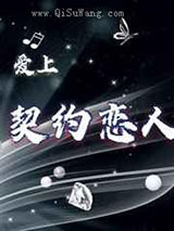 爱上契约恋人小说