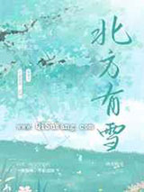 北方有雪小说