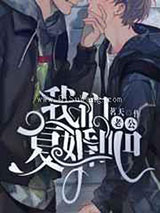 老公，我们复婚吧小说