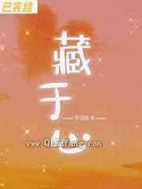藏于心小说