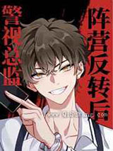 阵营反转后我成了警视总监小说