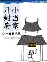 开封府小当家小说