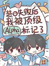 装O翻车后我被Alpha标记了小说