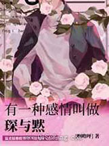 有一种感情叫做琛与黙小说