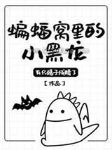 蝙蝠窝里的小黑龙小说
