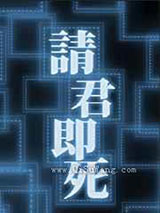 物理治愈横滨风纪小说