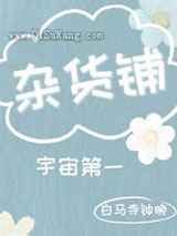 宇宙第一杂货铺小说