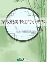 穿成俊美书生的小夫郎小说