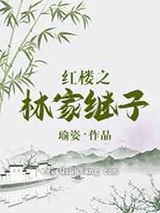 红楼之林家继子小说