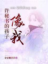许秘书的孩子,像我小说