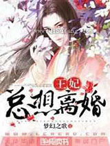 王妃总想离婚小说