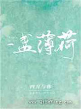 一盏薄荷小说