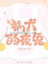 祸犬的夜兔小说