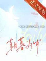 朝暮为岁小说