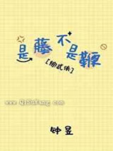 是藤不是鞭小说