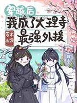 穿越后我成了大理寺最强外援小说