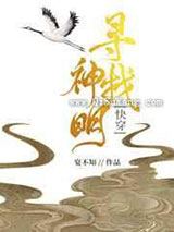 寻找神明小说