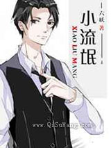 小流氓小说