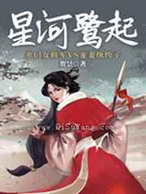 星河鹭起小说