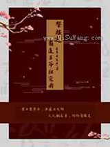 替嫁之霸道王爷独宠我小说