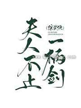 夫人不止一柄剑小说