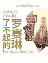 了不起的罗赛琳小说