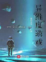 异维度游戏小说