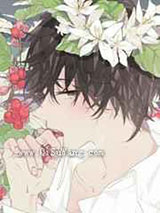 请温柔的向我开炮小说