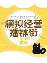 模拟经营擂钵街小说