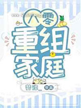 八零重组家庭小说
