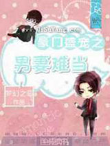 豪门盛宠之男妻难当小说