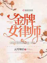金牌女律师小说
