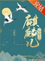 综穿之麒麟儿小说