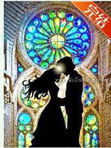 玫瑰吻过巴塞罗那小说