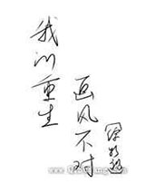 我的重生画风不对小说