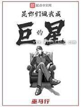 是你们逼我成巨星的小说