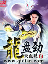 龙盘劲小说